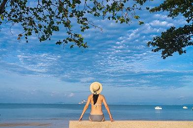 并非二线作品 任天堂将《皮克敏》系列视为旗舰IP